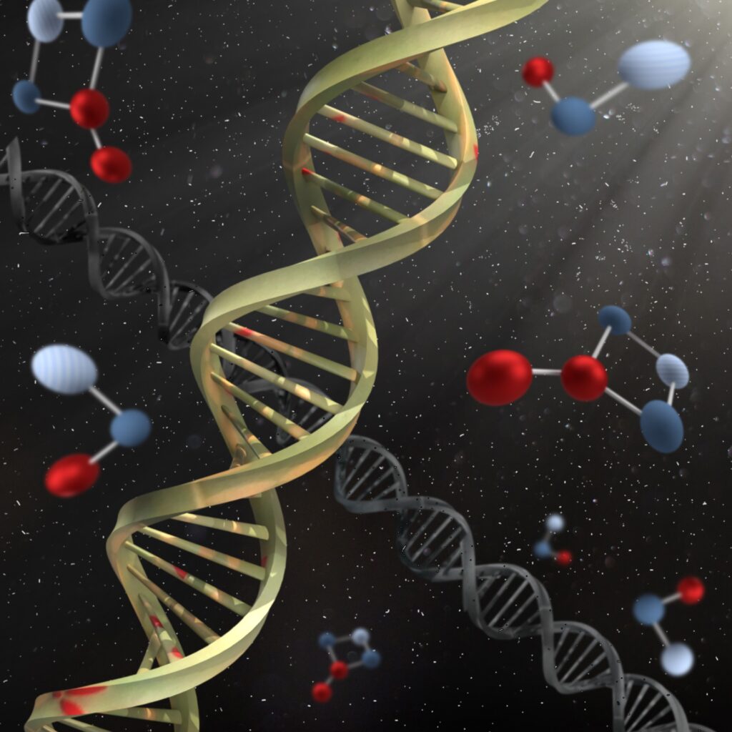 В Токийском университете создали искусственную «живую» ДНК