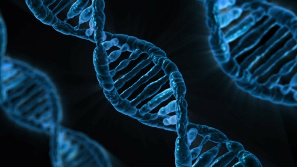 <strong>С развитием СДВГ связали 27 участков в ДНК</strong>