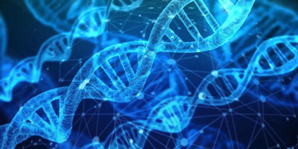 Лаборатория функциональной геномики МГНЦ разработала технологию анализа мутаций сплайсинга для точной диагностики мышечной дистрофии Дюшенна-Беккера
