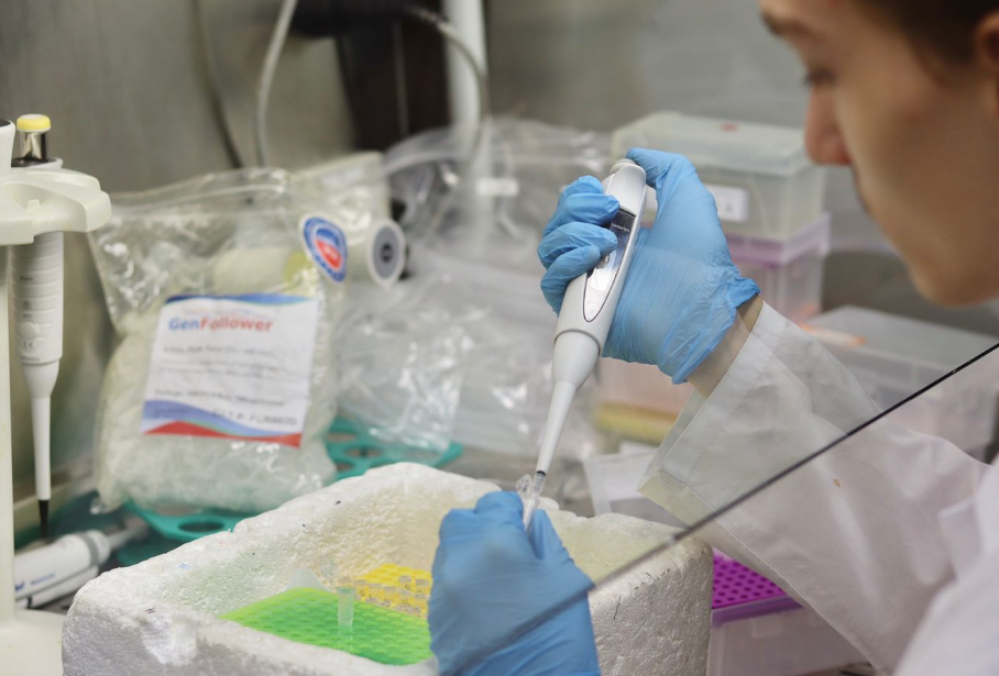 Казанские ученые разрабатывают вакцину от африканской чумы свиней