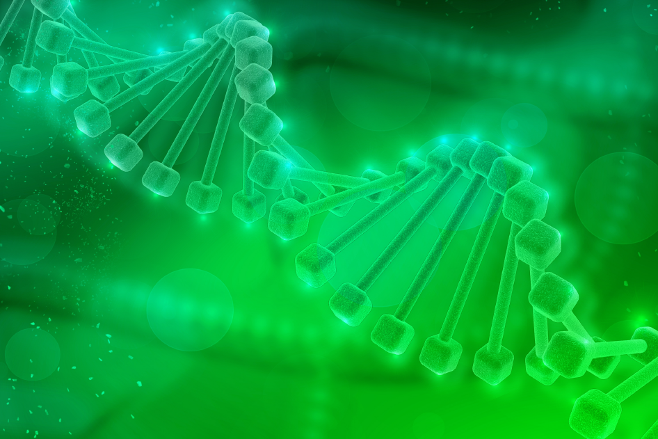 Ученые МГУ научились контролировать активность генов с помощью вирусного фермента