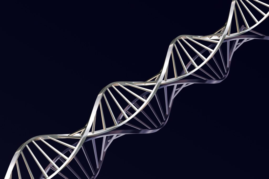 Новый набор плазмид упростит генетическую модификацию метилотрофных дрожжей