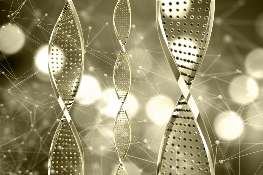 Ученые исследовали новое семейство ДНК-транспозонов Hiker