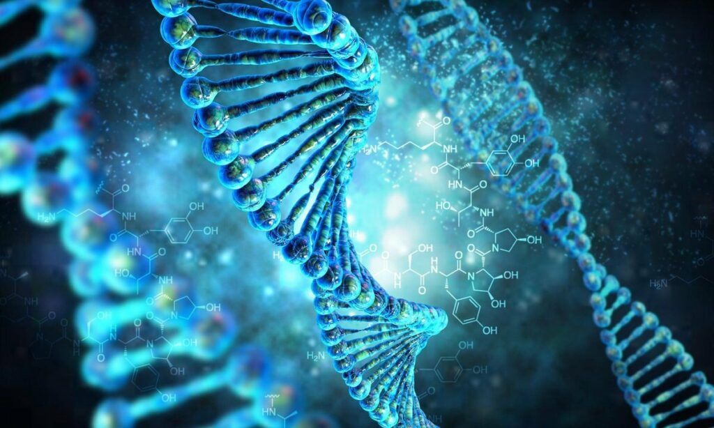 Ученые исследовали новое семейство ДНК-транспозонов Hiker