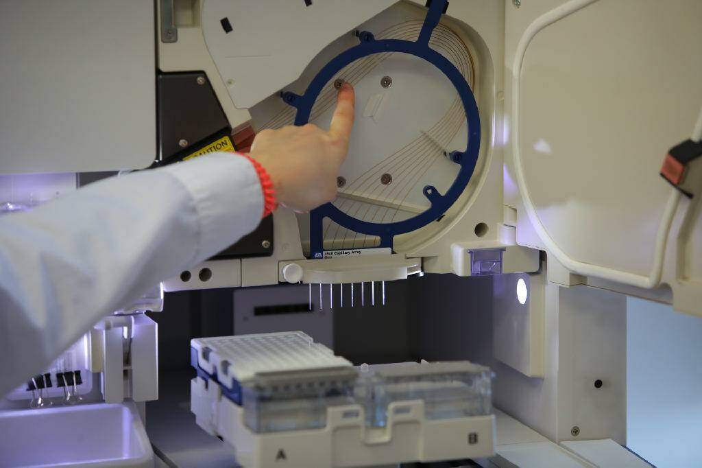 ДВФУ запустил научную школу по изучению генетических и клеточных технологий