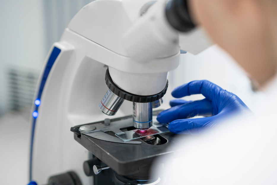 В ФГБУ «ВГНКИ» пройдут занятия научной школы для молодых ученых В ФГБУ «ВГНКИ» пройдут занятия научной школы для молодых ученых