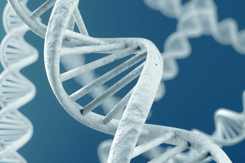 Какие гены эволюционируют быстрее всех, выяснили в Сеченовском университете