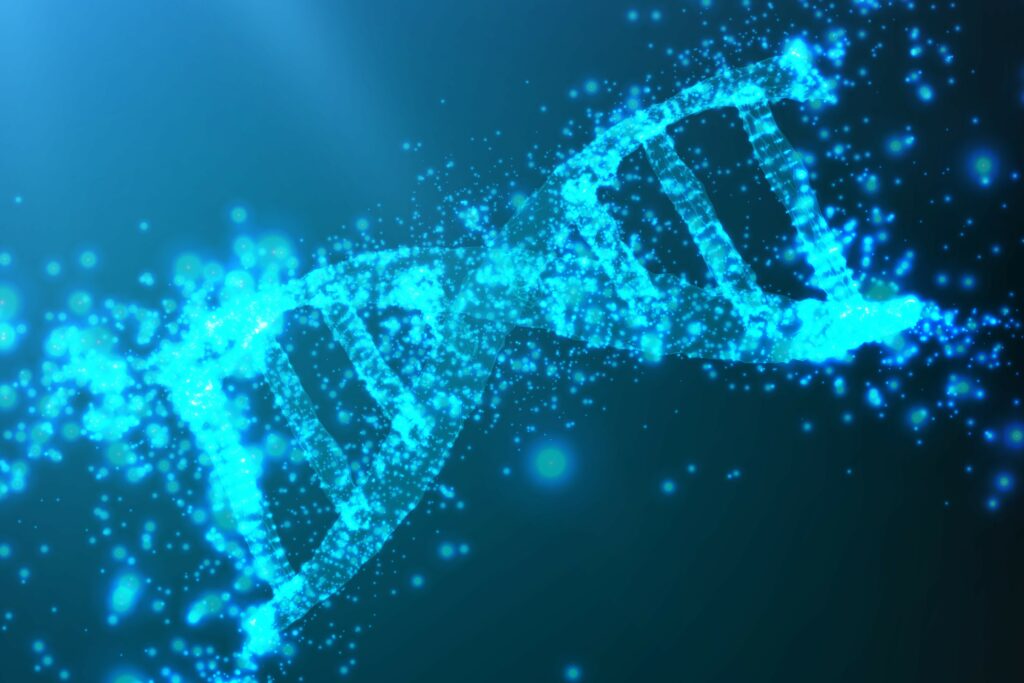 Специалисты Медико-генетического научного центра имени академика Н.П. Бочкова подтвердили связь патогенных вариантов гена TRA2B с эпилепсией и задержкой нейроразвития