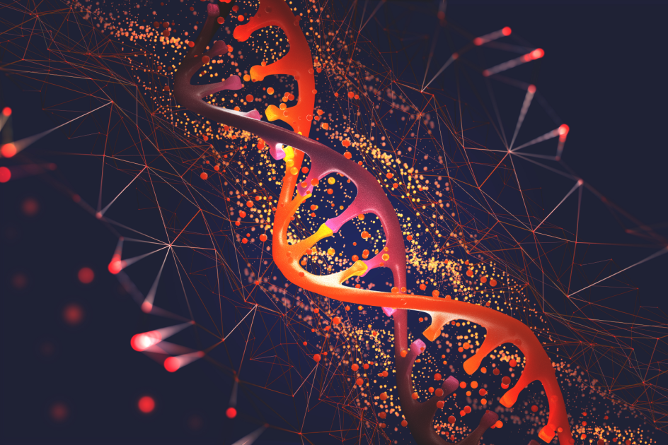В МГУ изучили влияние лишних хромосом на пространственную организацию генома