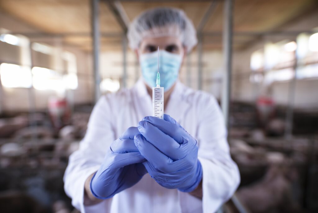 Российские ученые создали первую универсальную вакцину против двух инфекций животных Российские ученые создали первую универсальную вакцину против двух инфекций животных